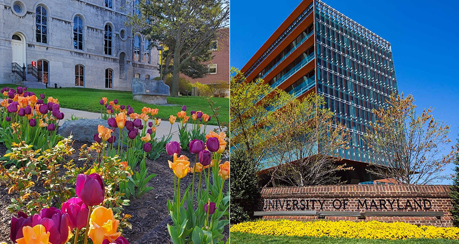 Syracuse University Univ-Maryland
