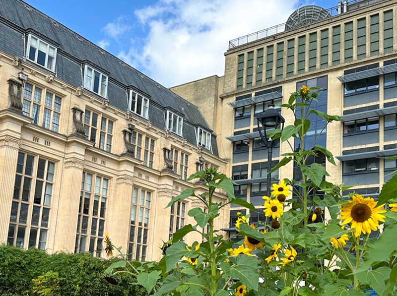 The University of Bristol